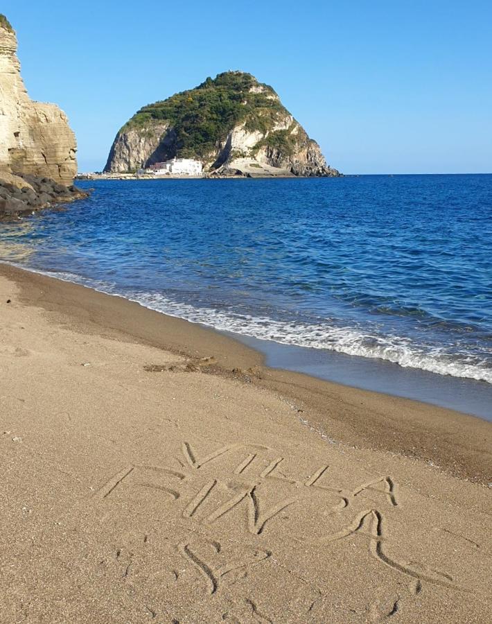 Villa Bina Sea Hotel Sant'Angelo  エクステリア 写真