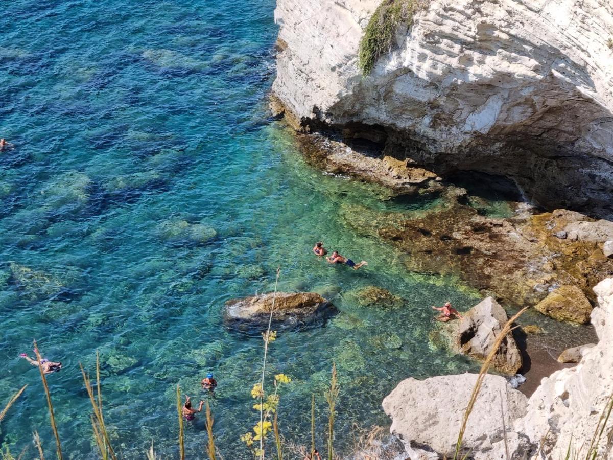 Villa Bina Sea Hotel Sant'Angelo  エクステリア 写真