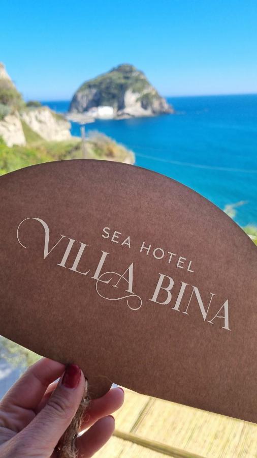 Villa Bina Sea Hotel Sant'Angelo  エクステリア 写真